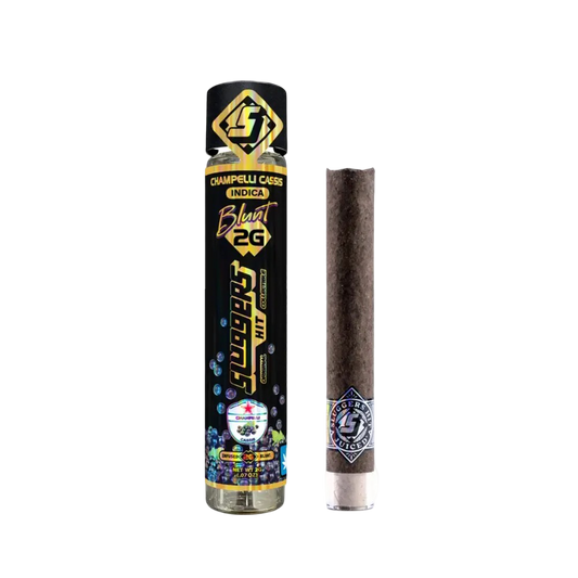 Champelli Casis Blunt 2g