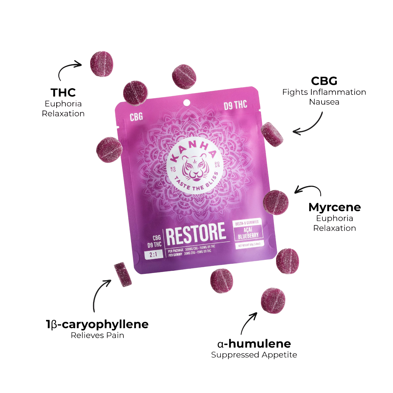 Restore Acai Blueberry Gummies 450mg