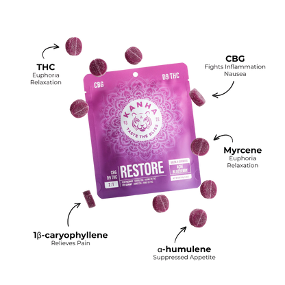 Restore Acai Blueberry Gummies 450mg